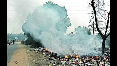 Green tribunal’s ban on open waste burning goes up in flames