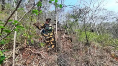 How Union home ministry played pivotal role in operation with high Maoist casualties in Chhattisgarh's Bastar