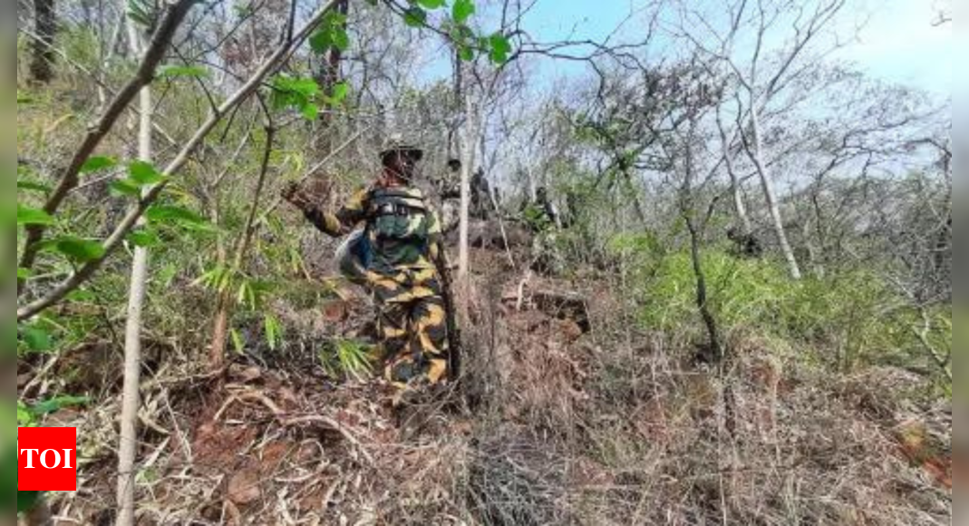 3 'senior commanders' among 29 Maoists killed in Bastar | India News – Times of India