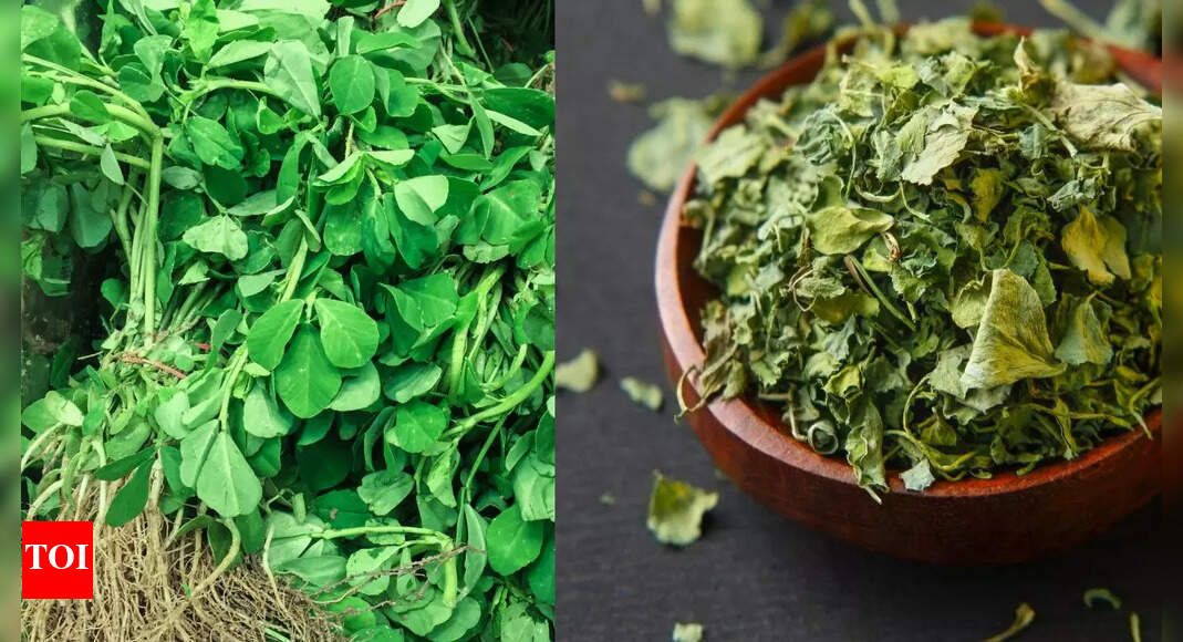 Difference between Methi and Kasuri Methi - Times of India