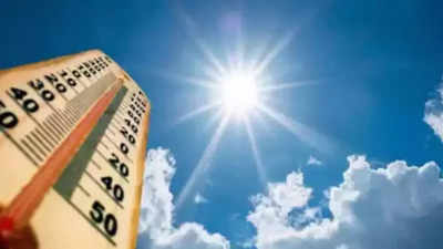 Heat stress up by nearly 30% in India over last 40 yrs: IMD