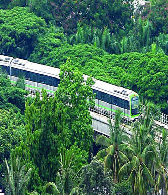 BMRCL to trim branches along Metro routes