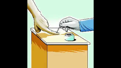 5 lakh dead, duplicate voters nixed from Hyderabad rolls in 1 year