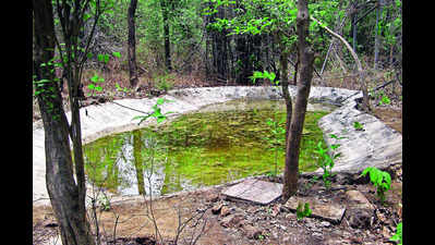 Junnar forest divn to build 80 waterholes in bid to help wildlife
