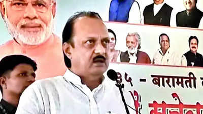 Indapur will get funds if it votes for Sunetra: Ajit Pawar