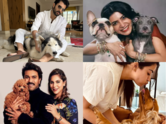 Celebrity pets: Telugu film stars and their furry friends