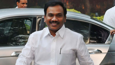 This is my eighth election. I don’t make promises. I believe in doing more than that: A Raja