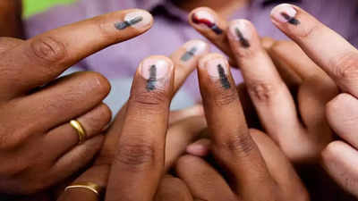 Lok Sabha elections 2024 full schedule: Gaya to vote in phase 1 on April 19