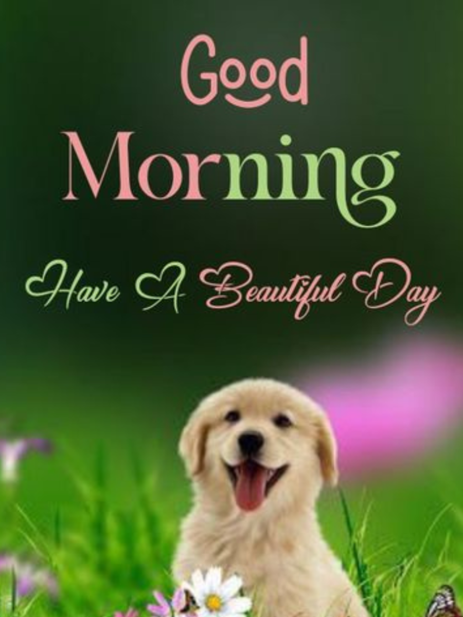 Good Morning Wishes With Dog Images | Times Now