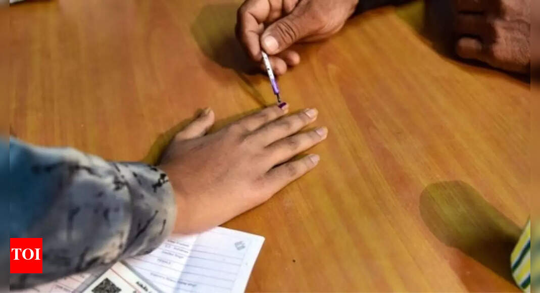 Barmer constituency of Rajasthan Lok Sabha Election 2024: Date of voting, result, candidates list, main parties, schedule - Vimarsana News