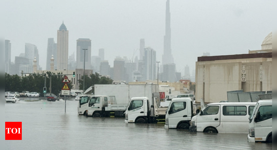 Dubai grinds to standstill as record rainfall floods homes, halts ...