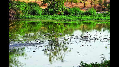 South Delhi pond a sewage pool with defunct STP