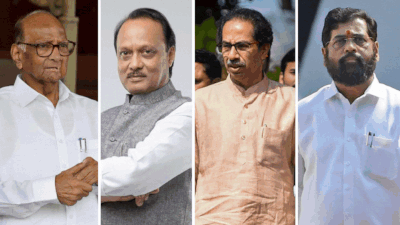 Maharashtra Lok Sabha mahasangram: Two Senas, two NCPs, too confusing? TOI identifies two top contenders in each constituency