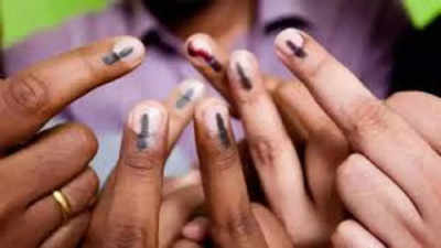 Madhya Pradesh first phase polls: 30.46% voter turnout till 11am
