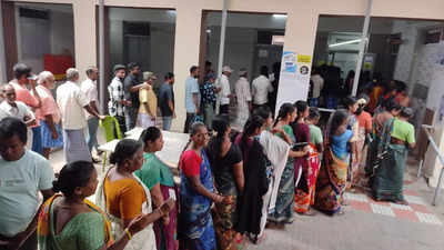 Chennai records 34% voter turnout till 1pm
