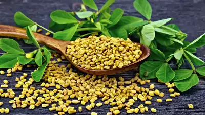 This is what happens when you consume Methi (Fenugreek seeds) daily