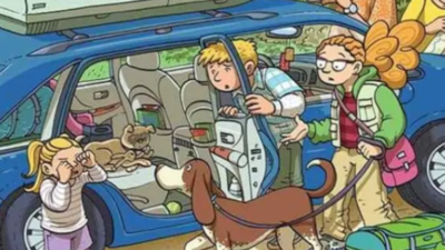 Optical illusion test: Find the child’s hidden toy bunny in this messy car