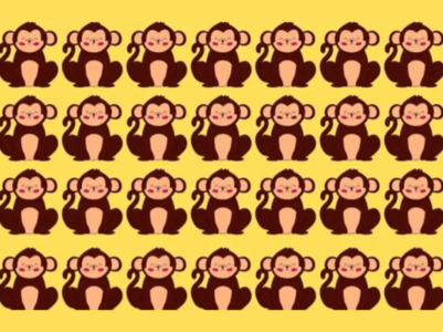 Optical Illusion: Only people with sharpest eyes can spot the odd monkey in this picture