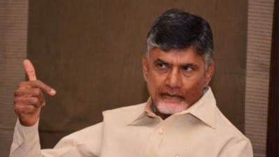 Former chief minister Nara Chandrababu Naidu's asset value grows to Rs 36.35 crore in five years