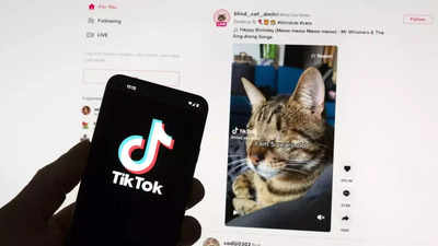 Bill that could ban TikTok has been attached to the House foreign aid package. What next?