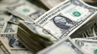 Forex reserves drop 1st time in 8 weeks