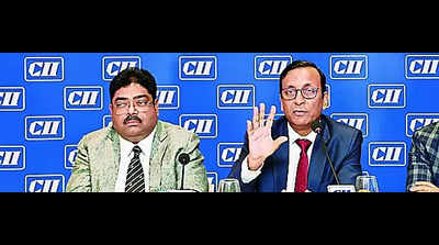 CII’s state council to join hands with govt for MSME boost