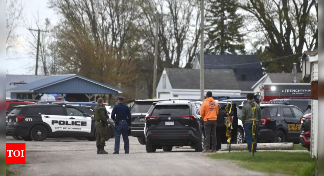 Siblings killed, multiple injured, as vehicle crashes into Michigan birthday party – Times of India