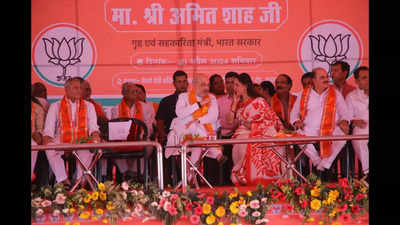 Congress-SP wiped out in Phase 1, says Amit Shah at Vrindavan rally