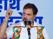 
Rahul Gandhi unwell, to skip INDIA bloc's 'Ulgulan Rally' in Ranchi, Jairam Ramesh says
