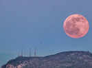 Full Moon 2024: Significance of the Pink Moon, Time, and Date of occurence