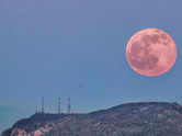 Full Moon 2024: Significance of the Pink Moon, Time, and Date of occurence