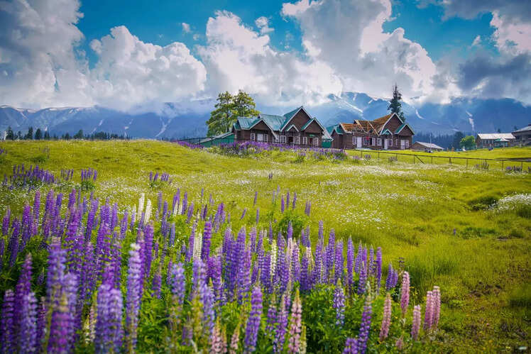 Bangus Valley, Kashmir