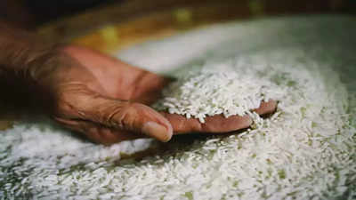Russia warns Pakistan of banning rice imports over phytosanitary concerns