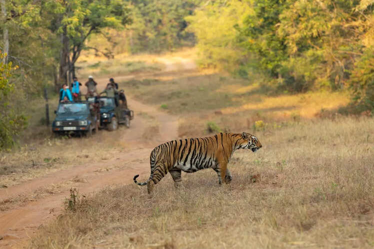 Maharashtra: 5 National Parks