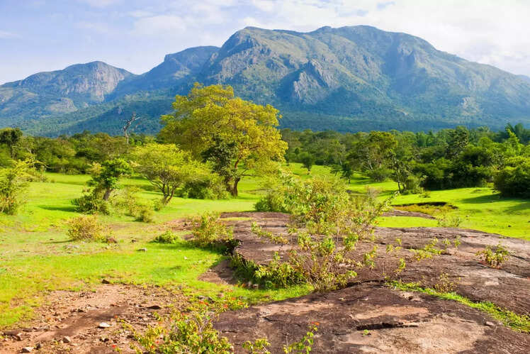 Tamil Nadu: 5 National Parks