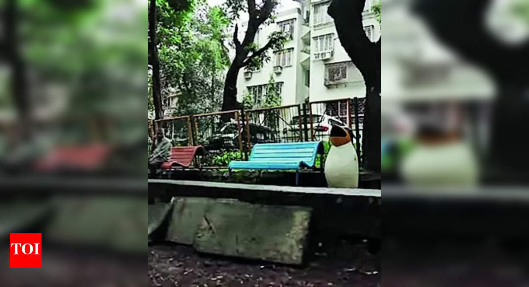 Water Supply: Residents Of Lic Colony Facing Low Water Supply For A ...