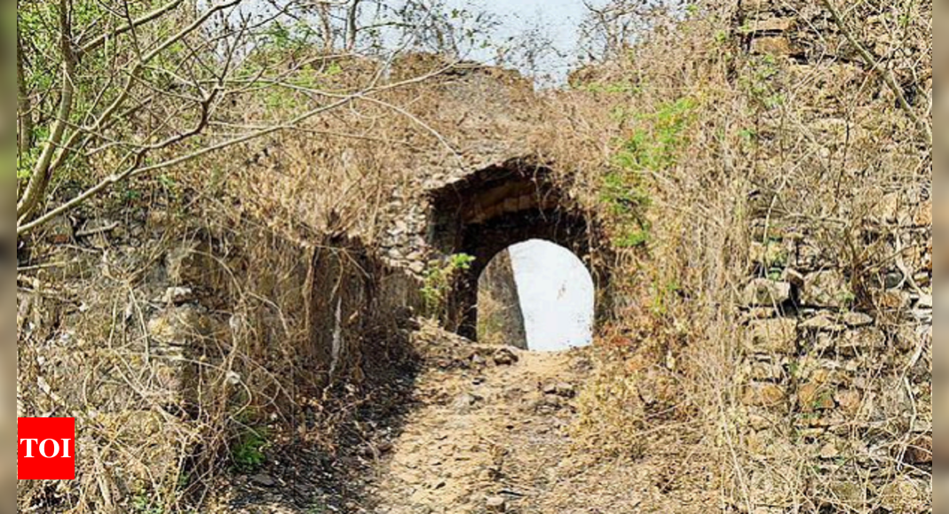 Leopard: Leopard Spotted At Vasai Fort; Ferry Timings Changed | Mumbai ...