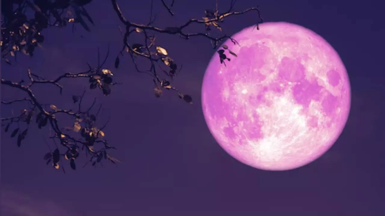 Pink Full Moon 2024: What it means for your moon sign and ways to harness  lunar energy in life - Times of India