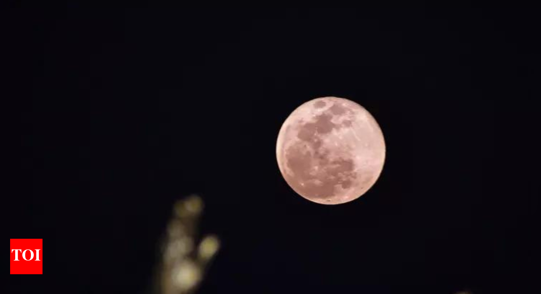 April's Pink Moon to illuminate the spring sky: When and where to watch - Vimarsana News