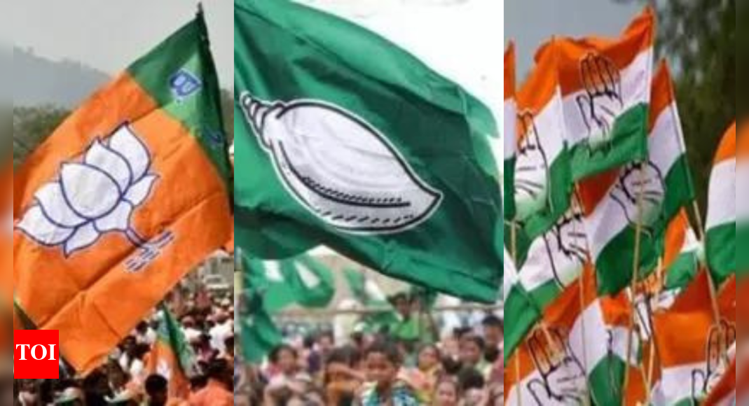 12 royal family members from Odisha contest in Lok Sabha, assembly elections | India News – Times of India 12 royal family members from Odisha contest in Lok Sabha, assembly elections | India News – Times of India