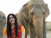 Adah Sharma supports wildlife SOS conservation efforts