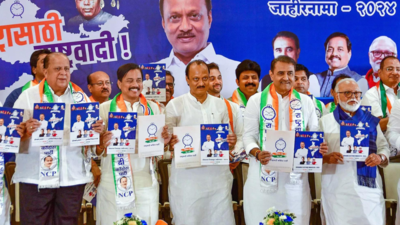 Lok Sabha polls: NCP releases manifesto, supports demand for caste-based census