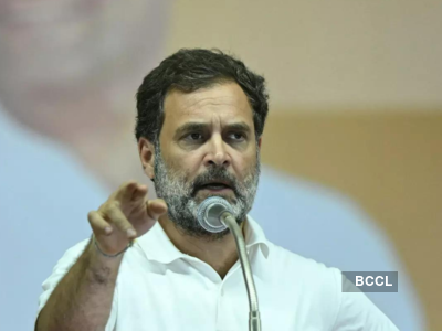 BJP accuses Congress leader Rahul Gandhi of making false claim about rise in poverty, files complaint with EC