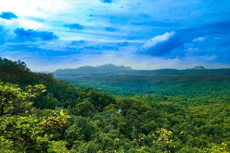 Satpura National Park