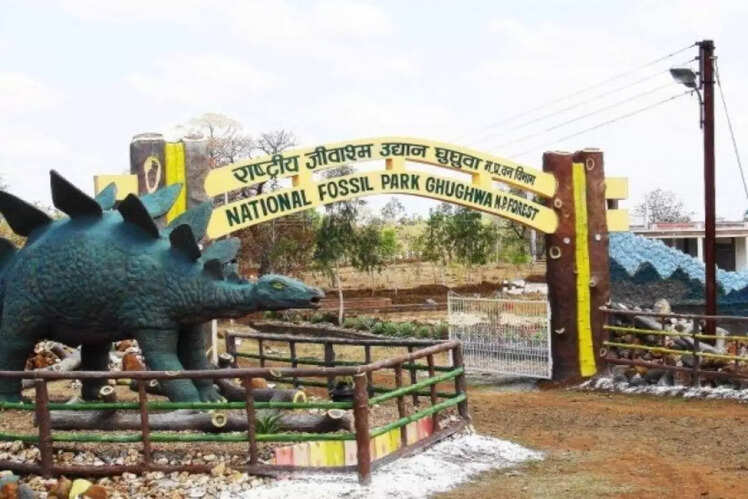 Ghughua Fossil National Park