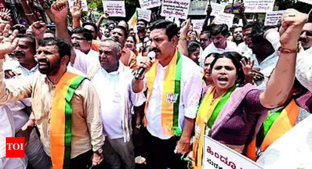 Protest Rally: Thousands Hit Belagavi Roads; Shops Shut | Hubballi News - Vimarsana News