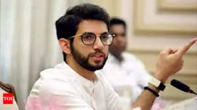 Aaditya Thackeray interview: 'Tie-up with Congress better than dictatorial party'