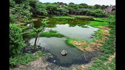 After TOI report, HC to hear encroachment of two lakes in Hyderabad