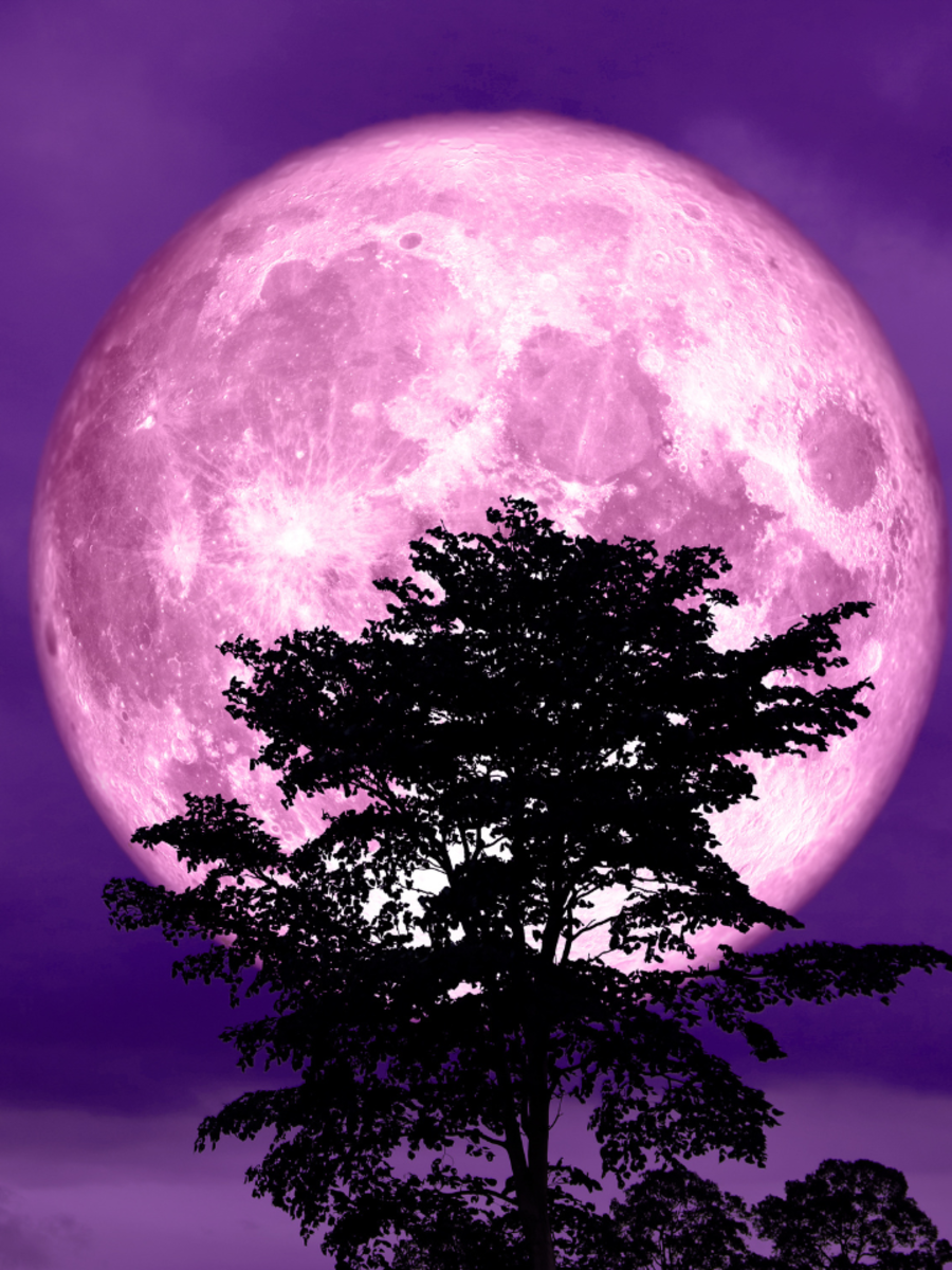 Pink Full Moon 2024: When and How to Watch - Vimarsana News