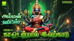 Devi Bhakti Songs: Check Out Popular Tamil Devotional Song 'Kadendral Verkadu' Jukebox